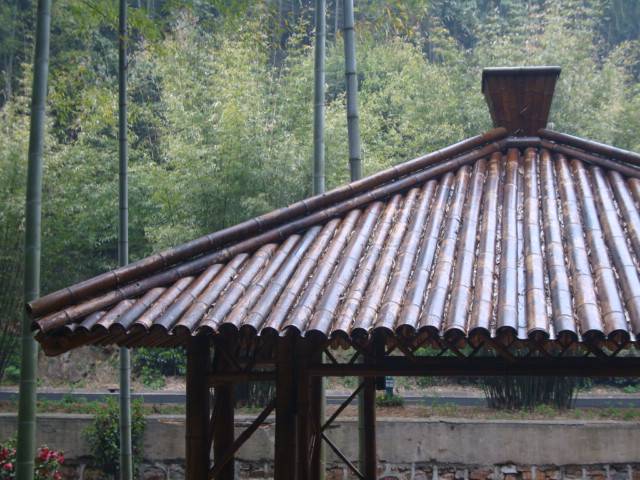 These roofs look so simple.  They'd fit right in to the B.C. rainforest. 