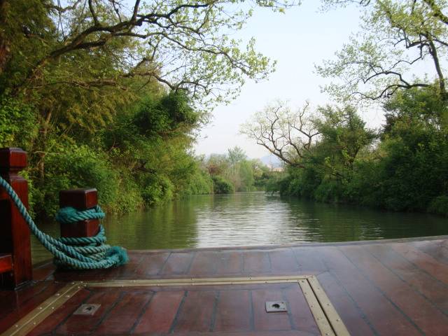 View from the tour boat as we cruise the Xixi wetlands, Hangzhou, China