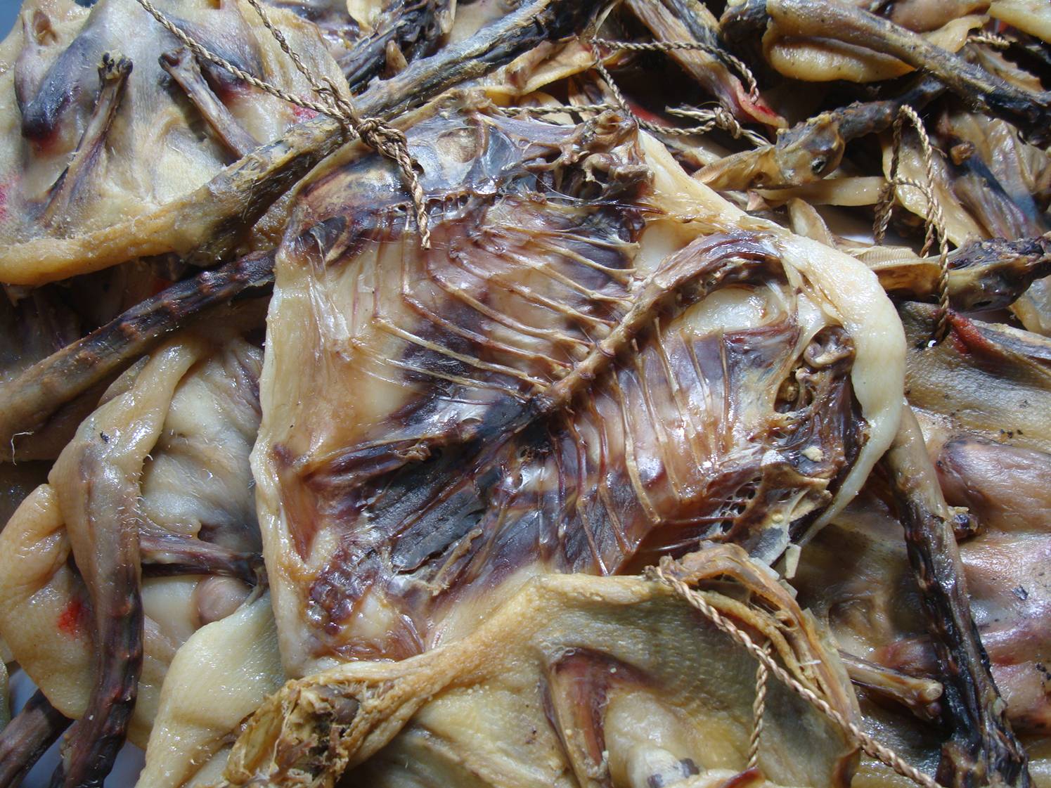 Picture:  "Roadkill" chicken for sale in the supermarket of Haikou, Hainan Island, China