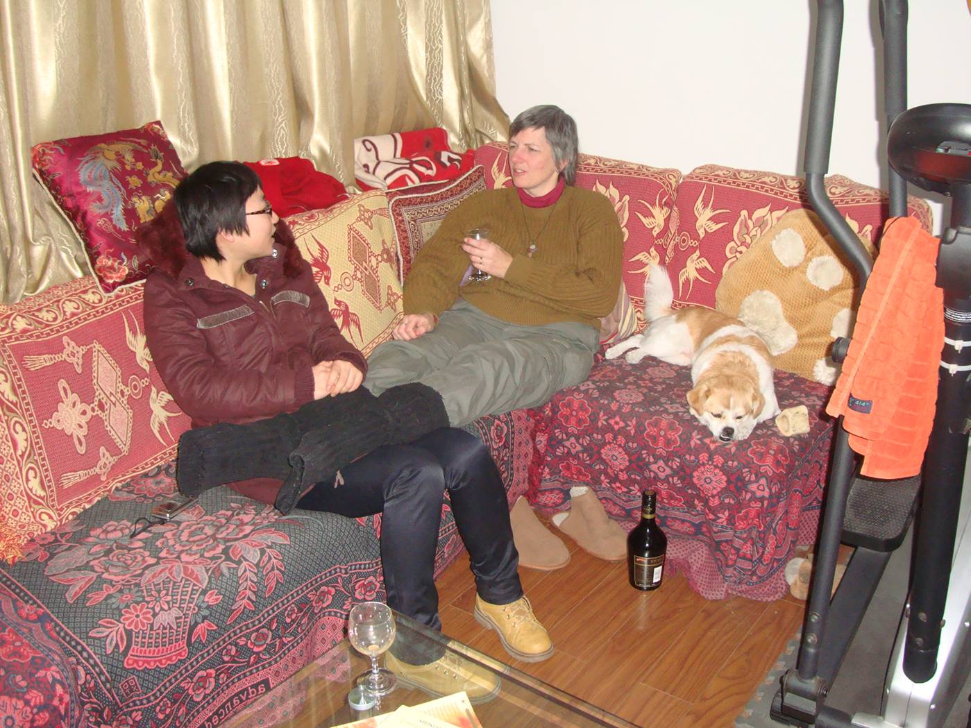 Picture:  Domestic bliss on a cold winter's evening.  Panda and Ruth and GouGou chat.  Jiangnan University, Wuxi, China