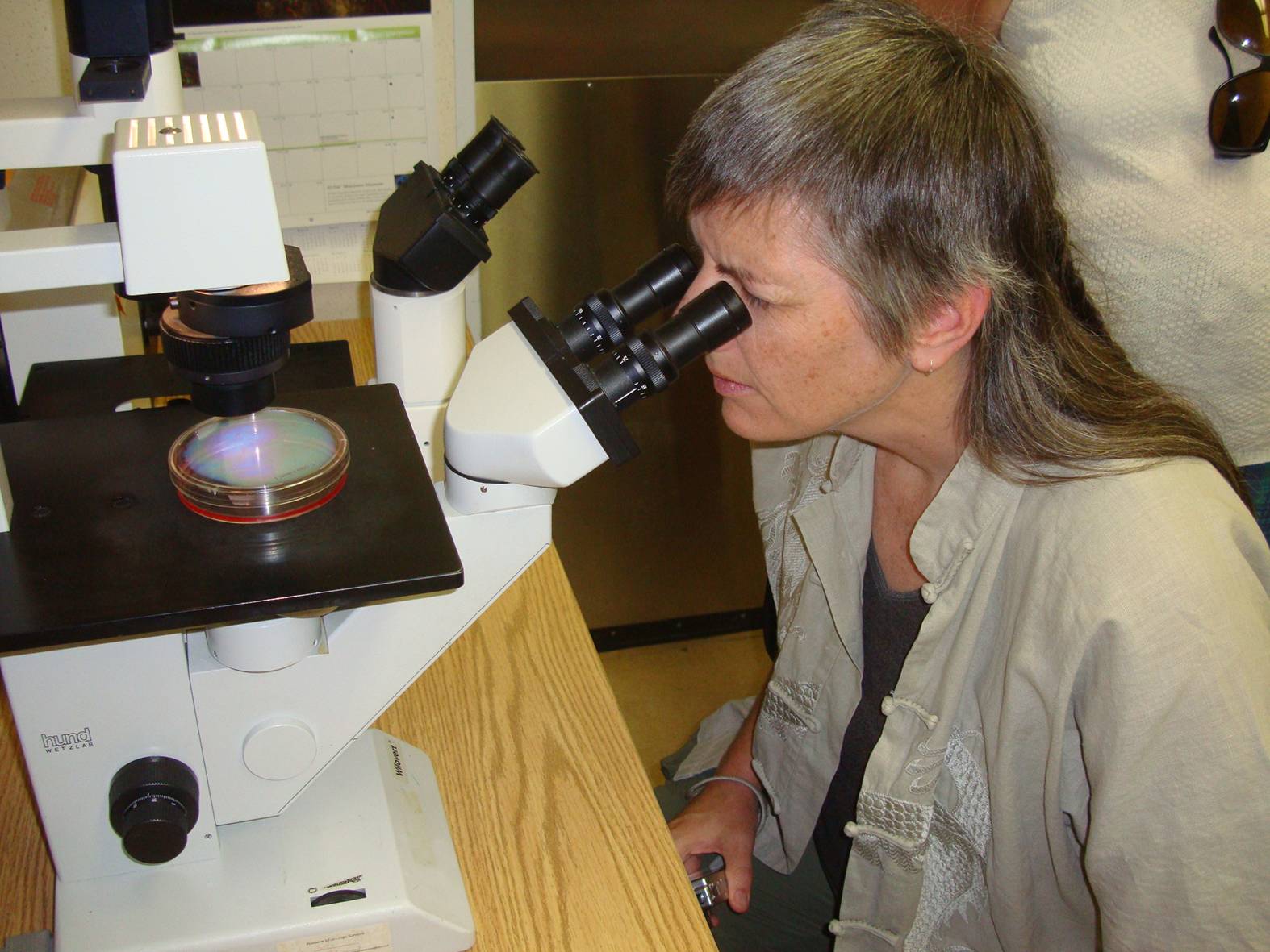 Ruth gets a look at cancer cells.  Saskatoon, Saskatchewan, Canada