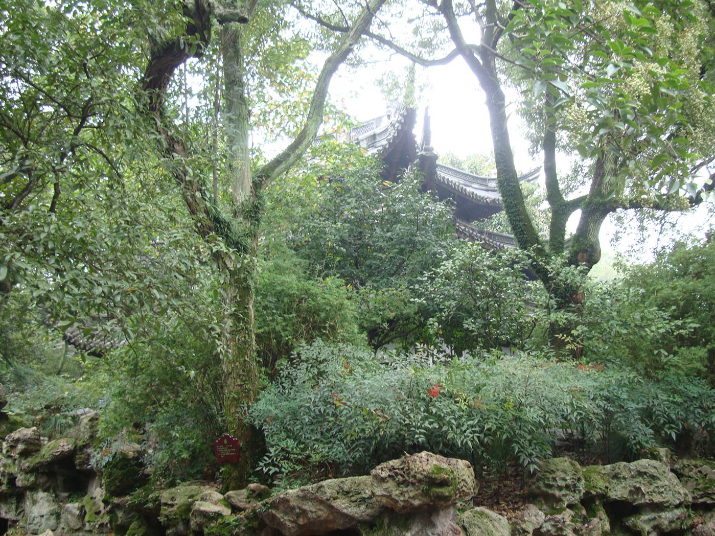 One of the most incredible Chinese gardens we've seen so far.  Dongming Hall, Ningbo, China  