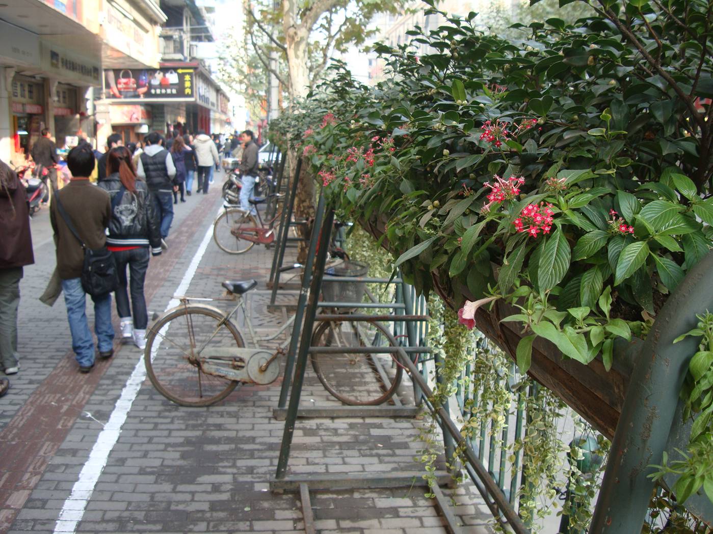 A bicycle rack disguised as a flower planter.  Shanghai, China