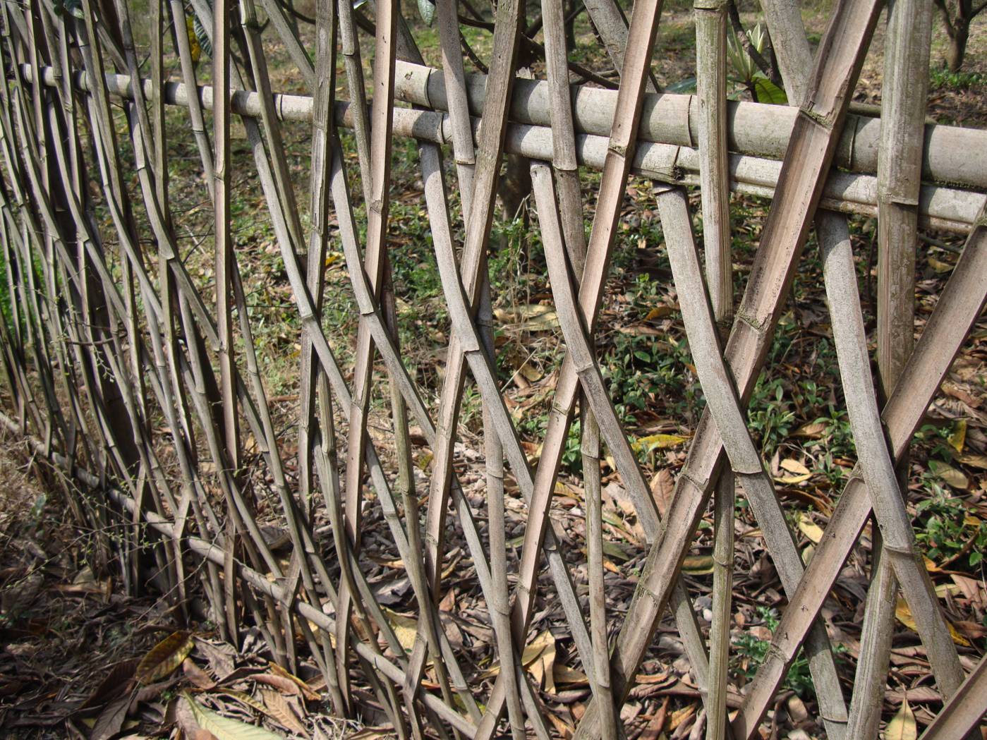 Picture:  Bamboo strip fence.  Yang Shan, Wuxi, China