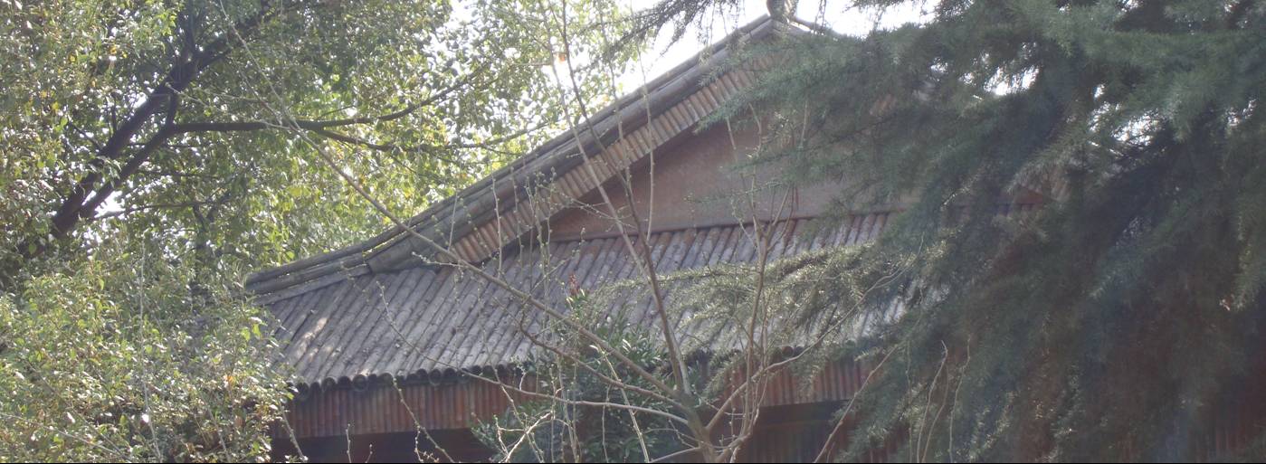 Picture:  A large roof made of real bamboo, now widely imitated by ceramics.  Yang Shan, Wuxi, China