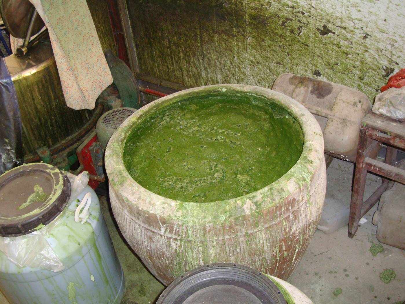 Picture:  A large jar of grass stains, used to colour the qing tuanzi.  Yang Shan, Wuxi, China