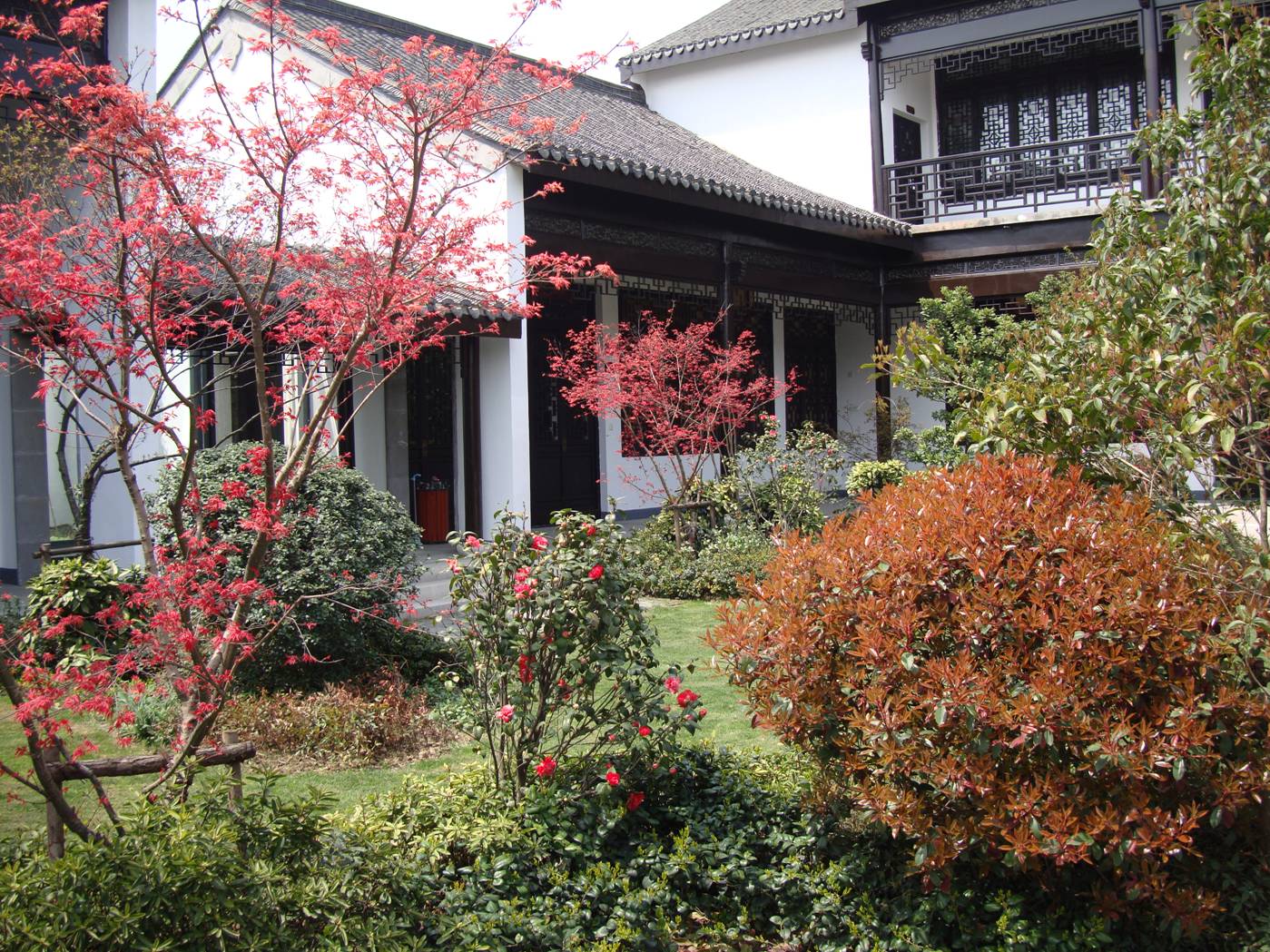 Picture:  The Tao Bo Yuan (Peach Museum) gardens.  Yang Shan, Wuxi, China