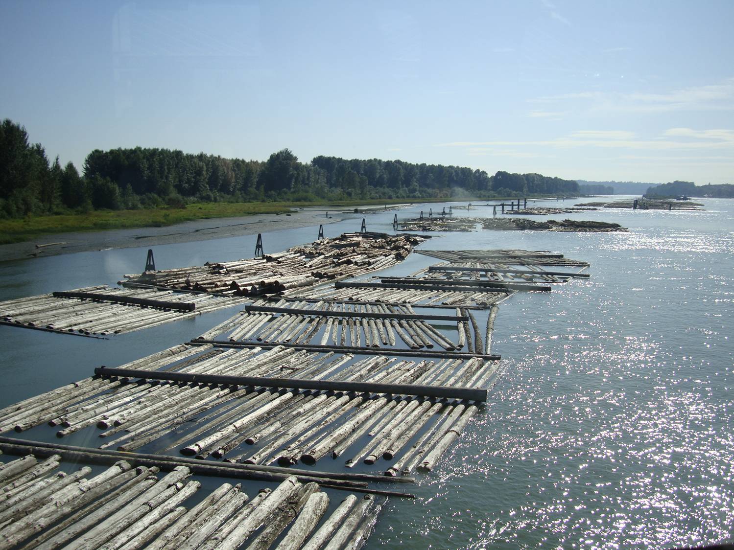 Log booms on the Fraser, as seen from the West Coast Express train.