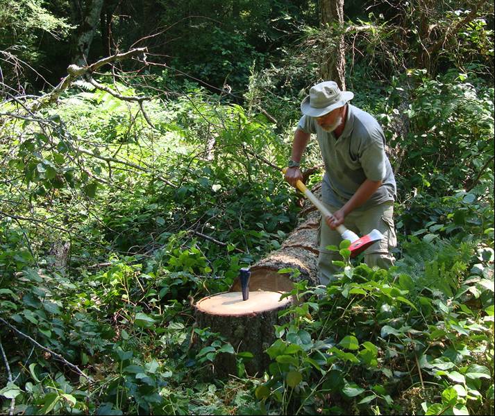 Splitting wood using a wedge and maul.  Good exercise and my idea of a good time back home.  Saltspring Island, B.C., Canada