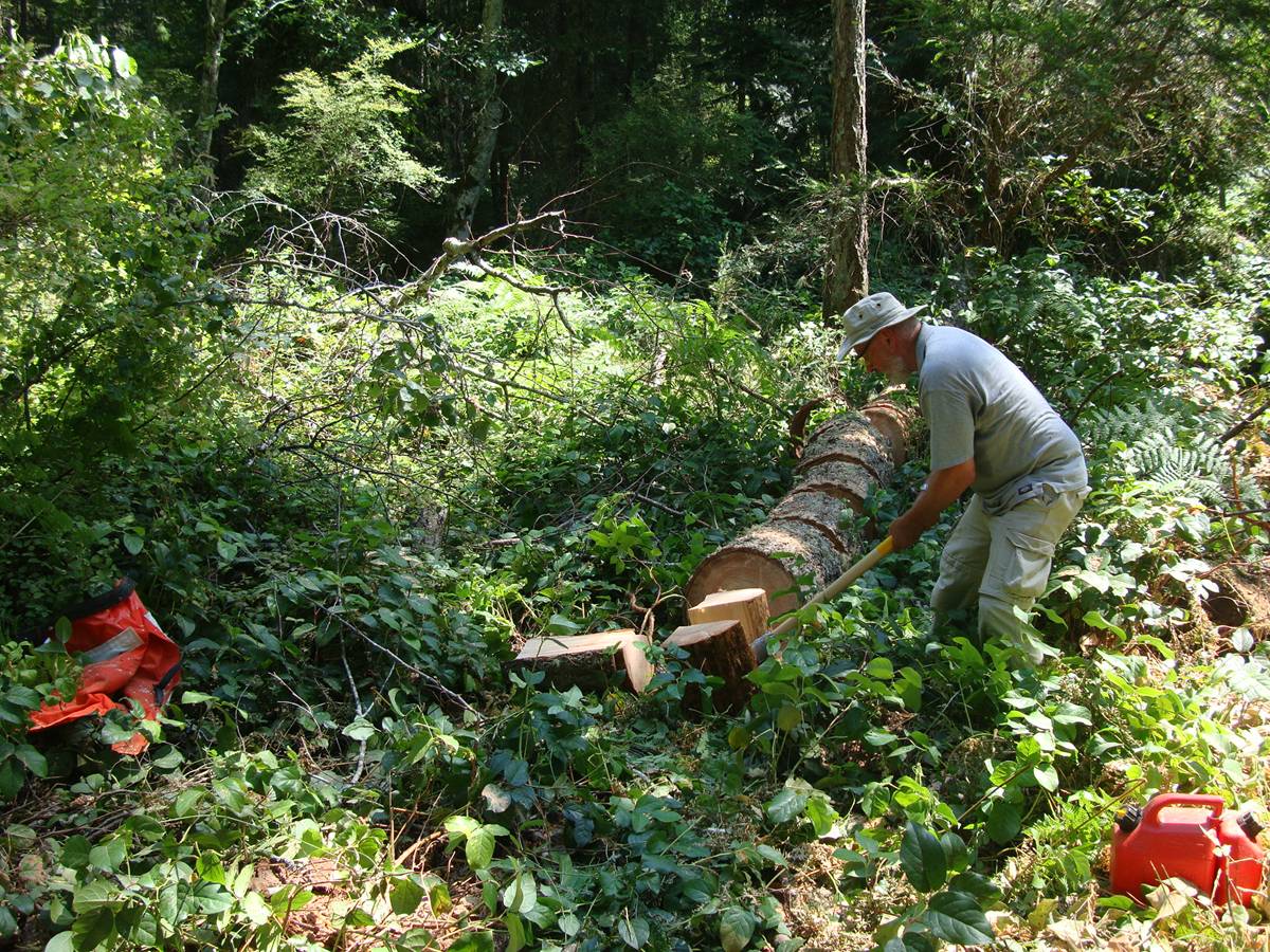 Splitting firewood.  Saltspring Island, B.C., Canada