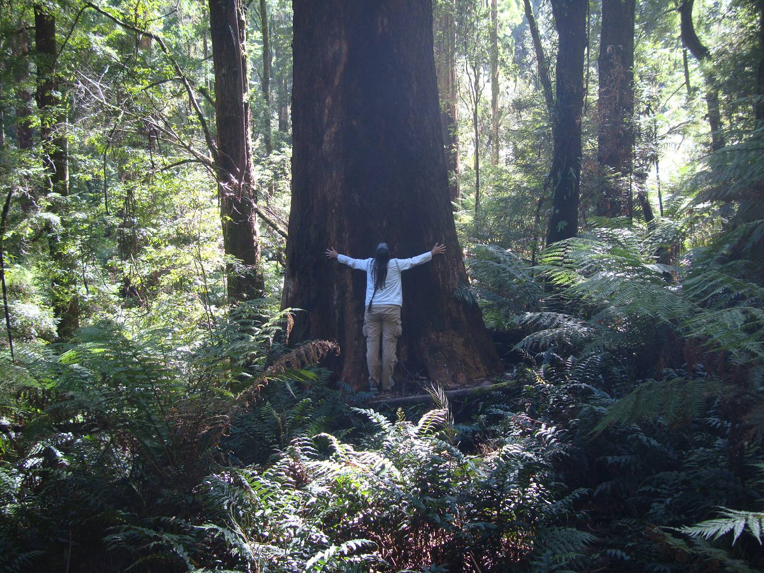 She'd be a tree hugger, but she needs longer arms.