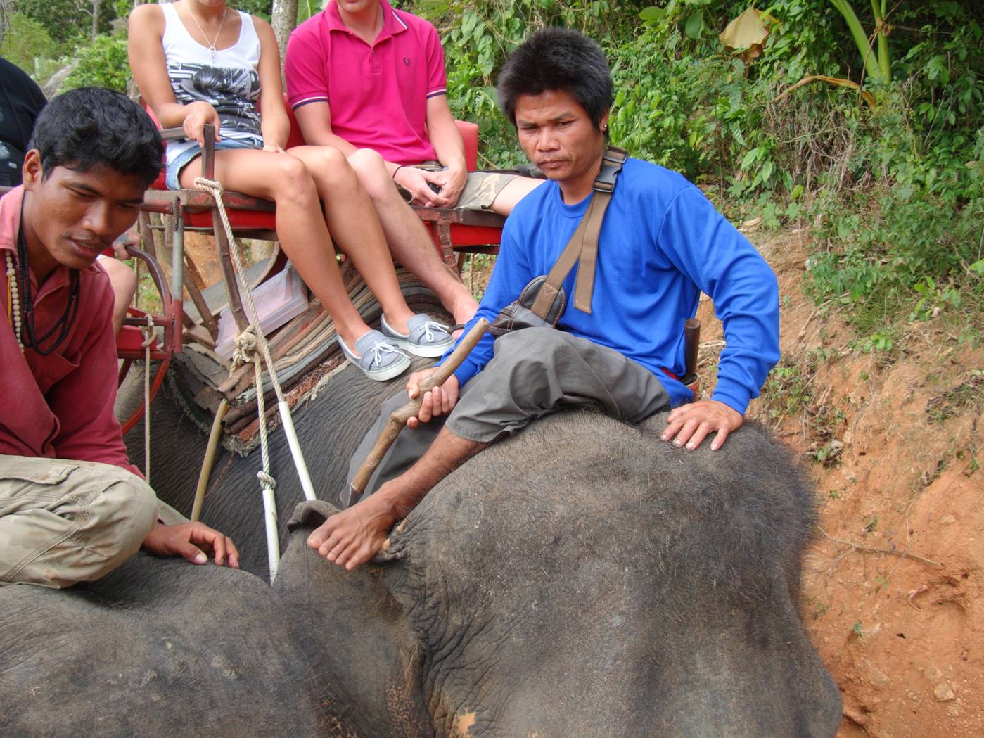 Picture:  The elephant mahouts, Phuket Island, Thailand