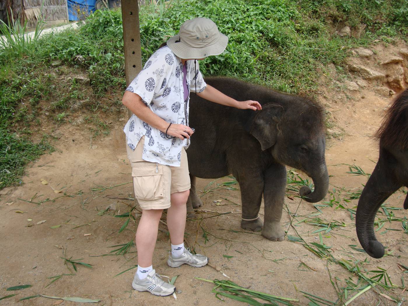 Picture:  Ruth approaches the baby elephant, Phuket Island, Thailand