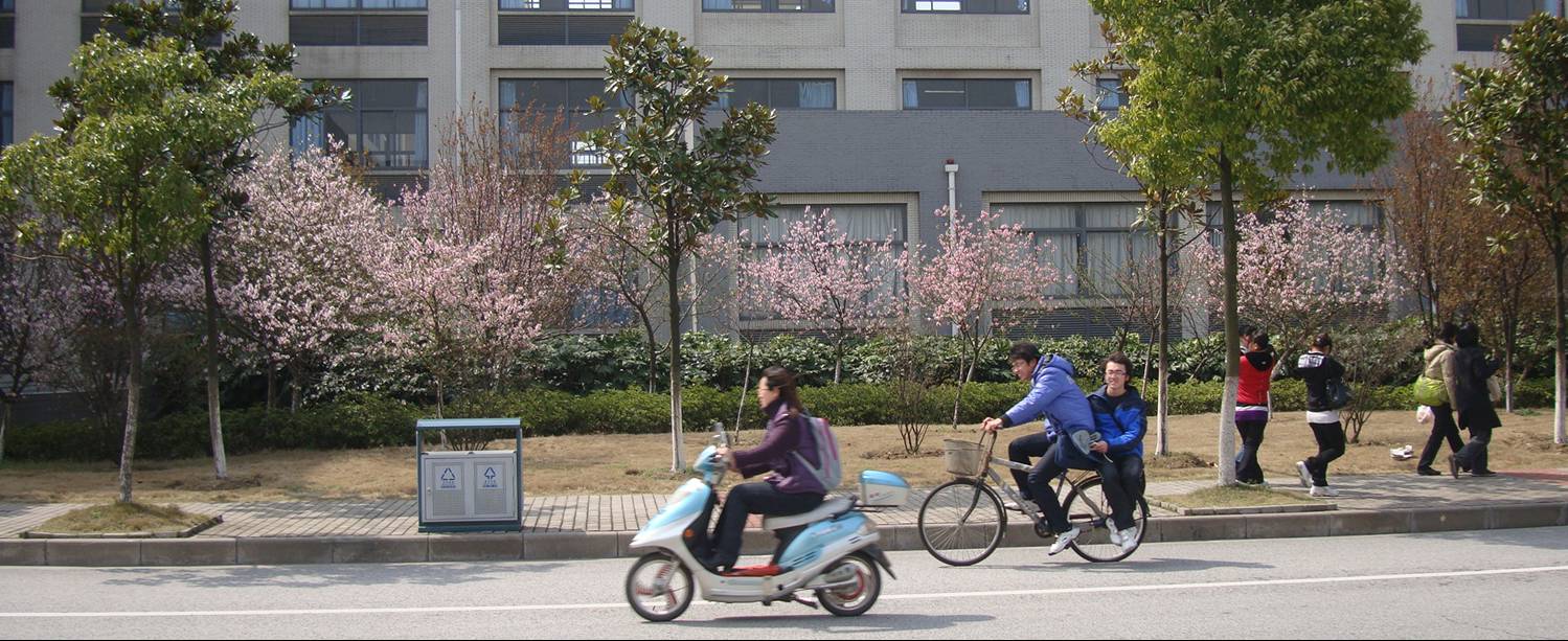 Spring has come to Jiangnan University and the cherry blossoms are out.  Wuxi, China