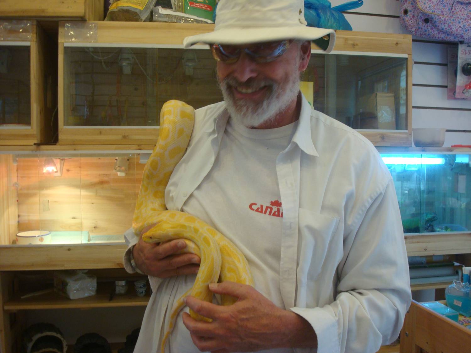 Good thing it wasn't natural coloured or I'd have had to buy it.  Albino Burmese python in a pet store,  Wuxi, China