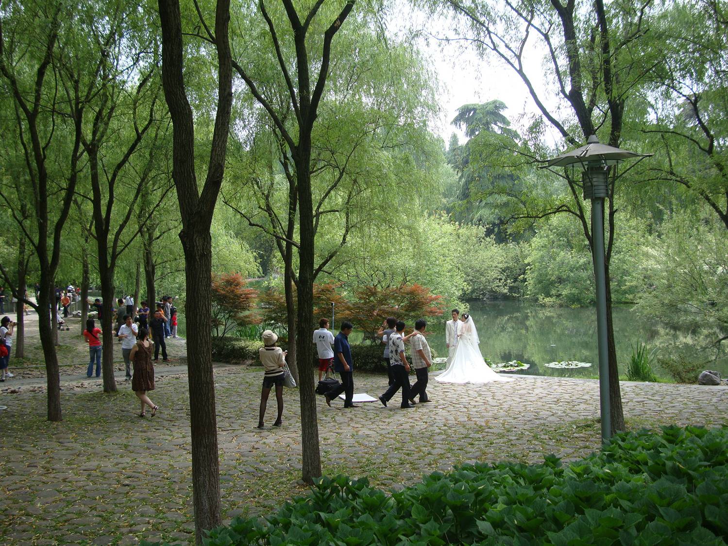 This time of year,  just about every scenic spot in China is a wedding photos location.  West Lake Park,  Hangzhou,  Zhejiang,  China