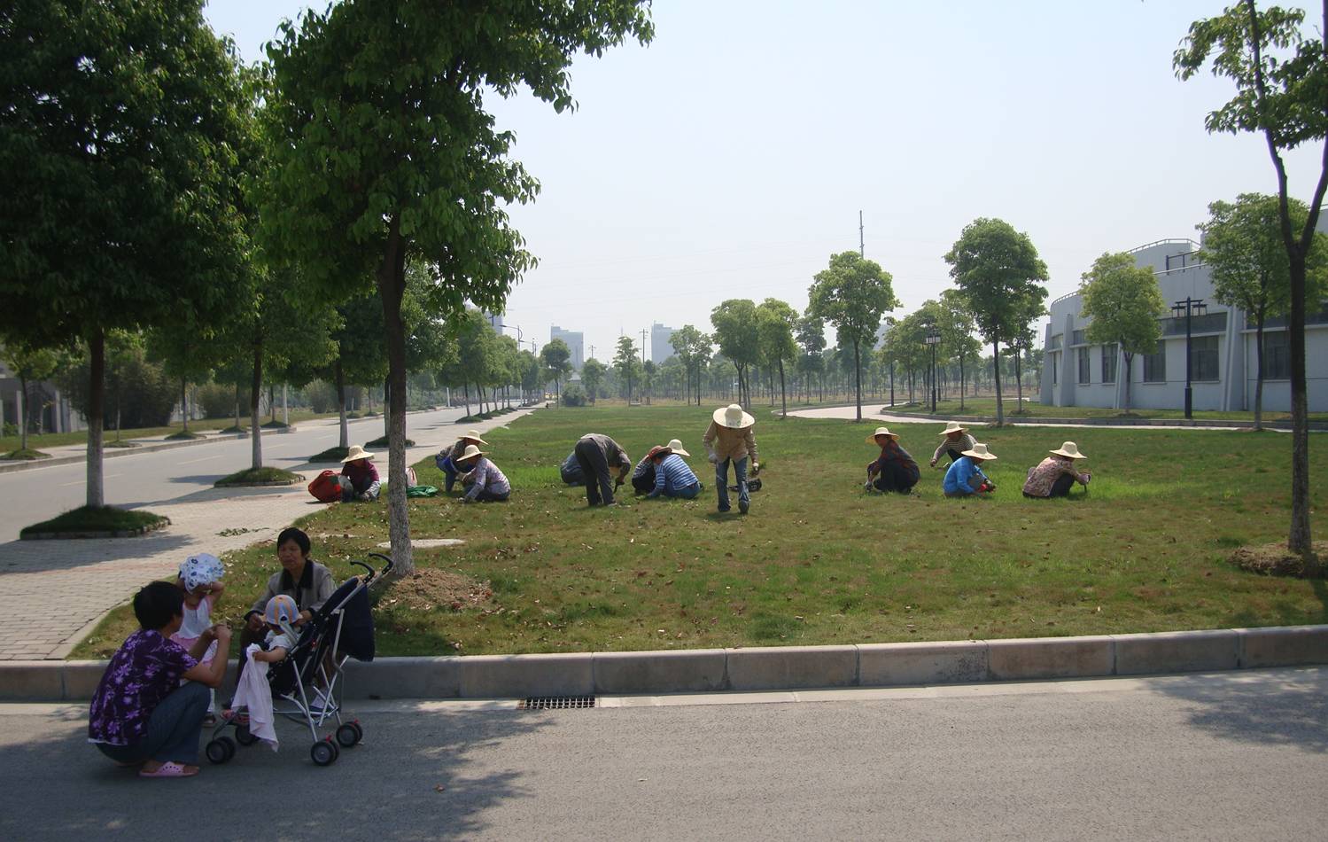 One of the many weeding teams at Jiangnan University,  Wuxi,  China.