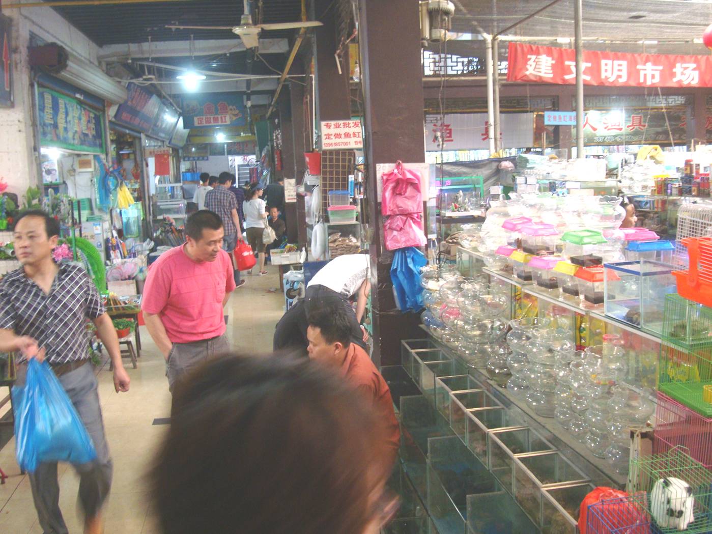 Picture:  This is like a western big box pet accessories store, only bigger.  Wuxi, China