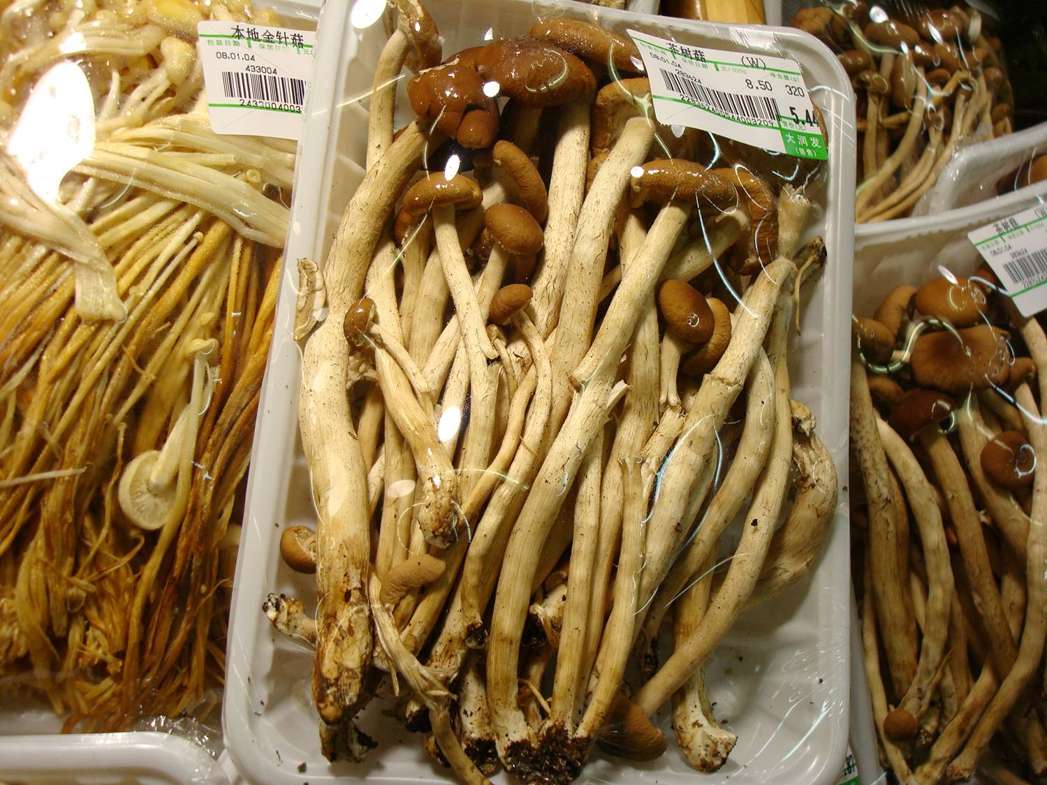 mushrooms in a Chinese supermarket