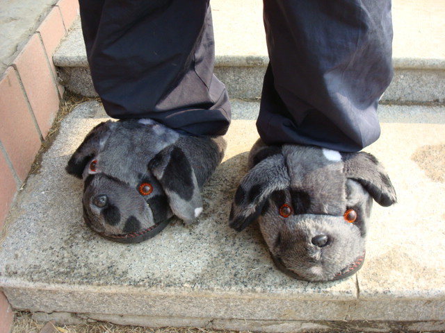 dog slippers