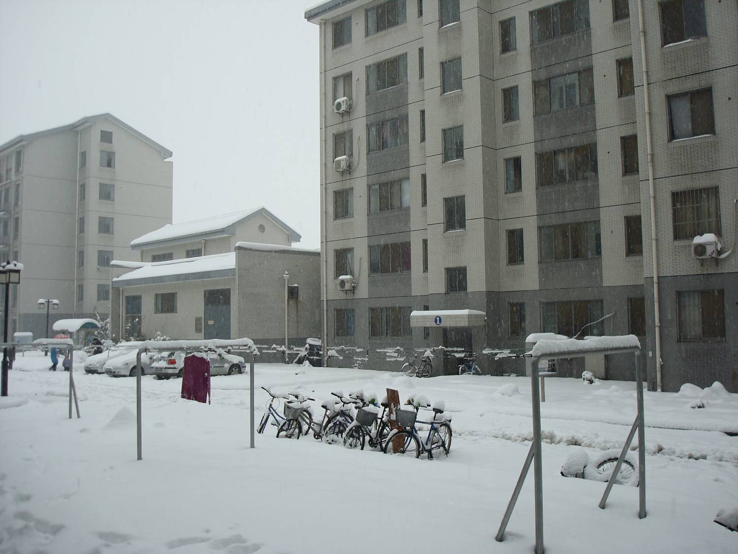 Winter on campus at Jiangnan University,  Wuxi,  China