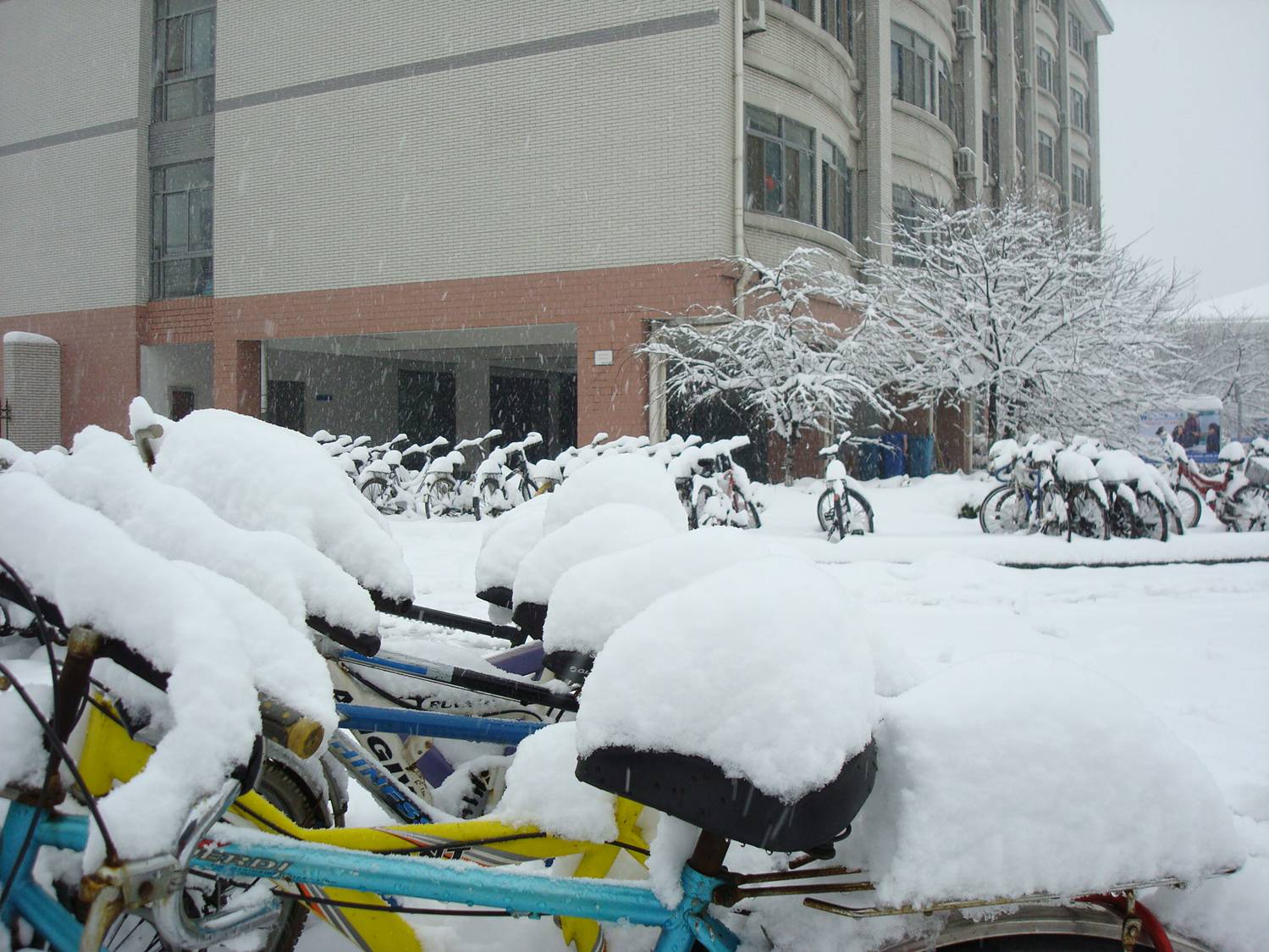 Winter on campus at Jiangnan University,  Wuxi,  China